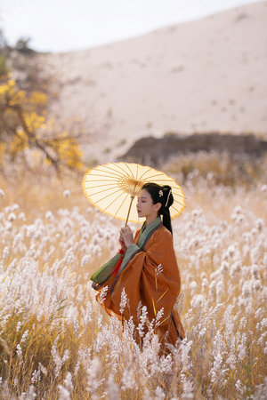 眠狂四郎女地狱